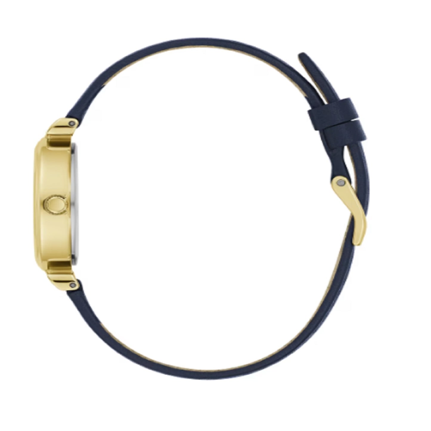 Reloj Guess Array Gw0614l5